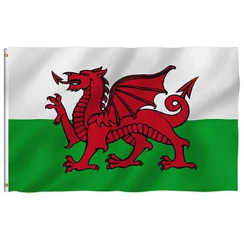 Galler Bayrağı İNGILTERE Birleşik Krallık 90x150 cm Polyester Baskılı İngiliz Galce Bayrakları Ve Pankartlar Dekorasyon Kutlama Geçit Spor