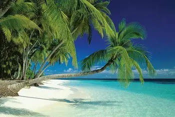 Yeni Maldivler Plaj ve Deniz Palmiye Ağaçları Tropikal bir Ada Cennet Baskı Sanat Tuval Poster Oturma Odası Dekor Ev Duvar Resmi